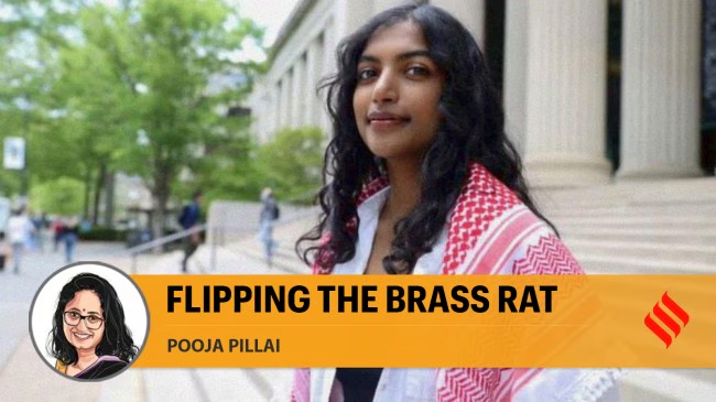 what megha vemuri learnt at MIT that makes her the voice of many