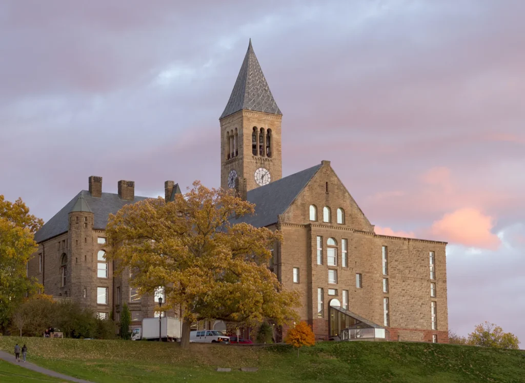 cornell university