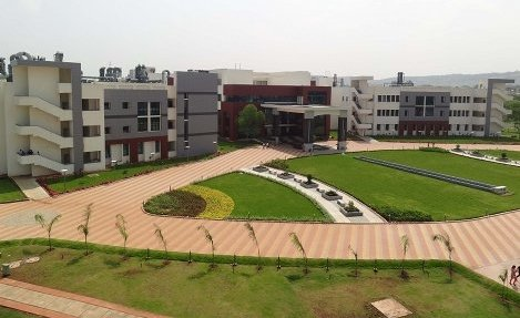 The Inter-IISER Sports Meet brings together India’s top research institutes, promoting holistic development, teamwork, and student well-being beyond labs.